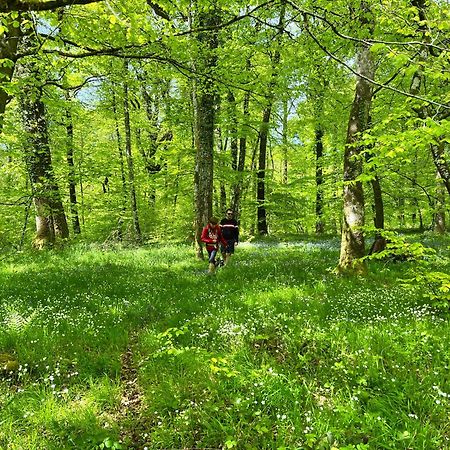 Maison Chaleureuse Avec Jardin - Pause Normande Sées Esterno foto