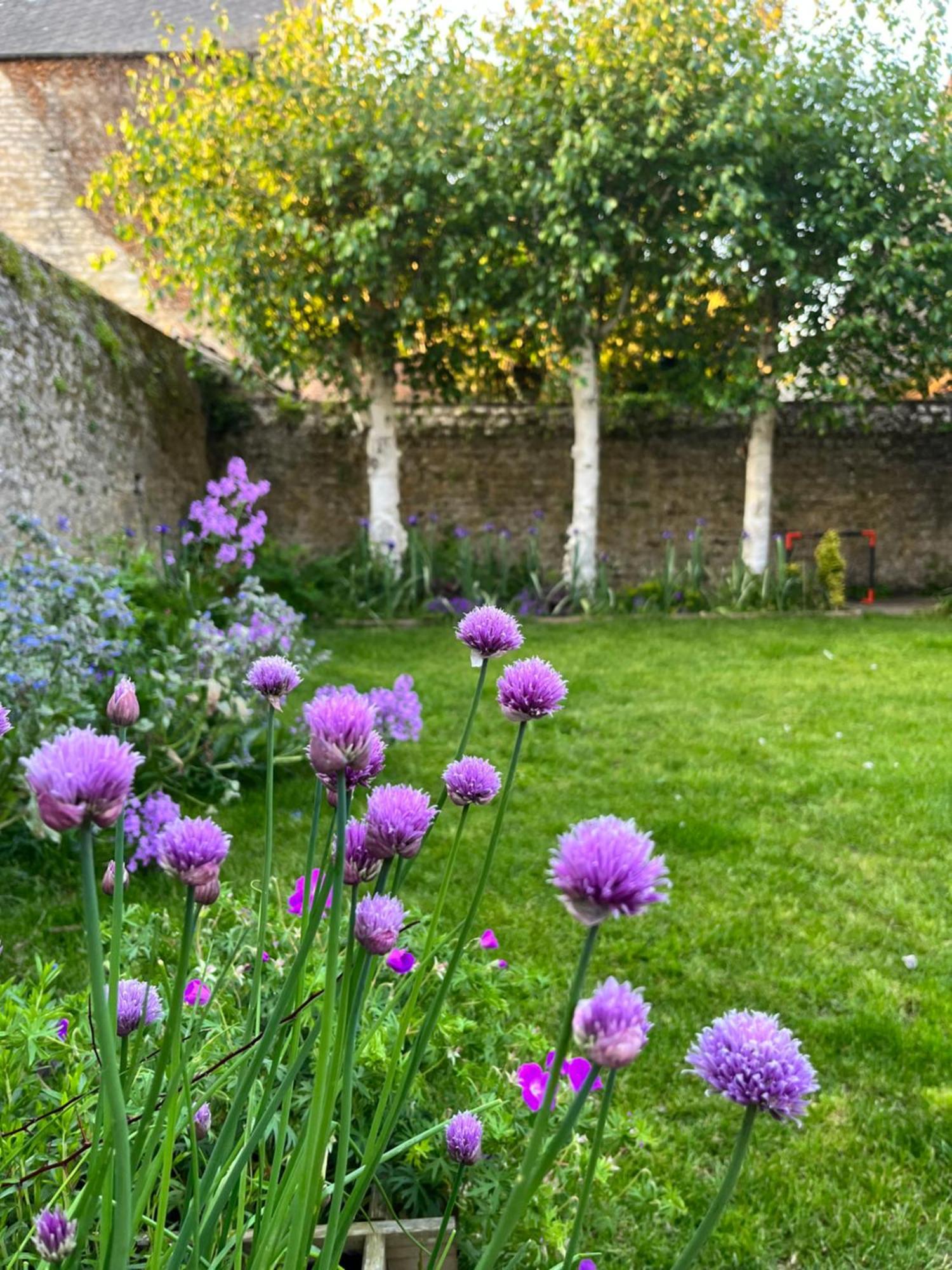 Maison Chaleureuse Avec Jardin - Pause Normande Sées Esterno foto
