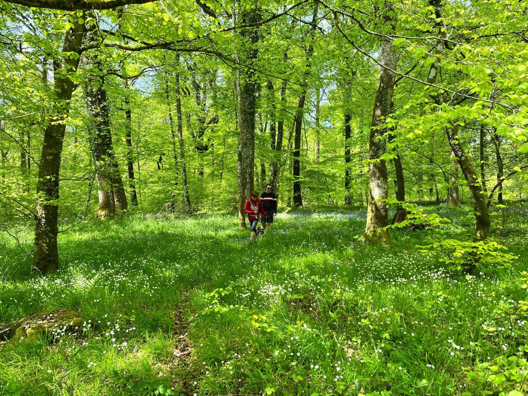 Maison Chaleureuse Avec Jardin - Pause Normande Sées Esterno foto